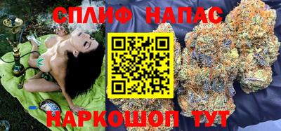 прущие грибы Пушкино