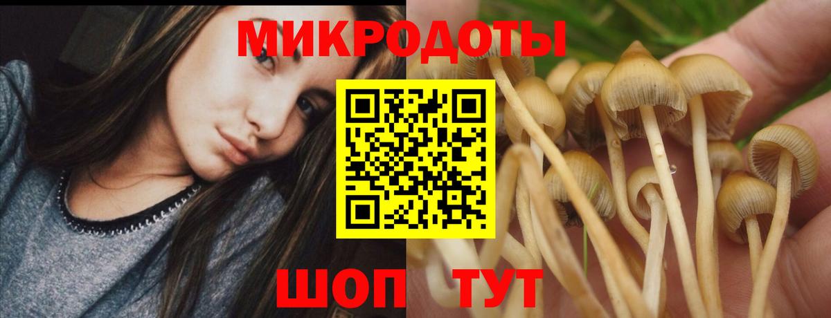 Галлюциногенные грибы Magic Shrooms Мичуринск
